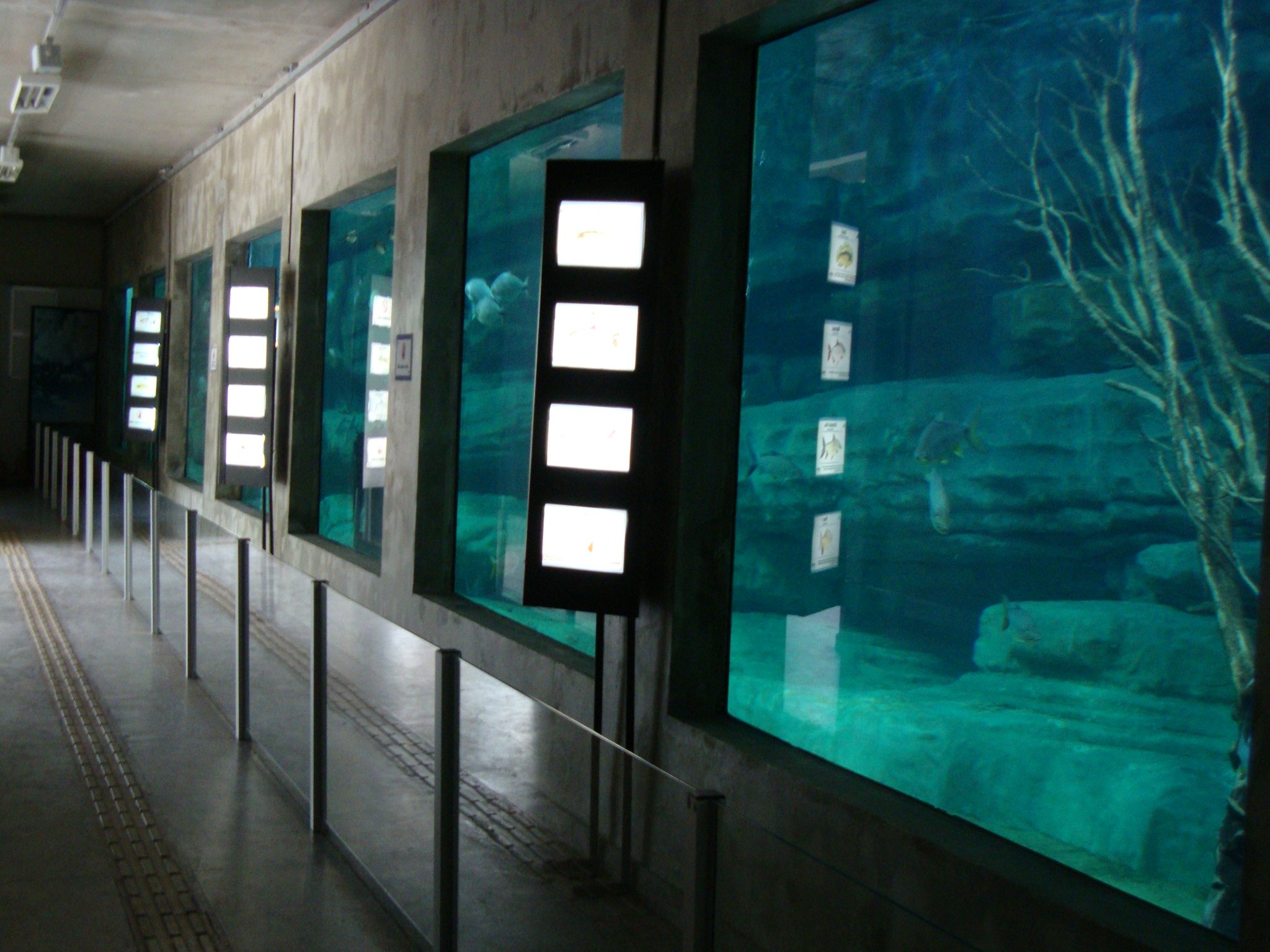 Aquário do Rio São Francisco