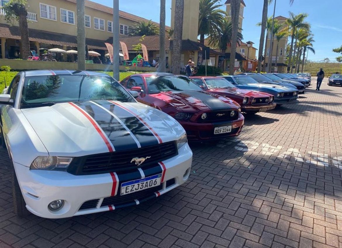 Exposição: "Mustangs no Parque do Palácio"