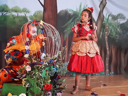 divulgação