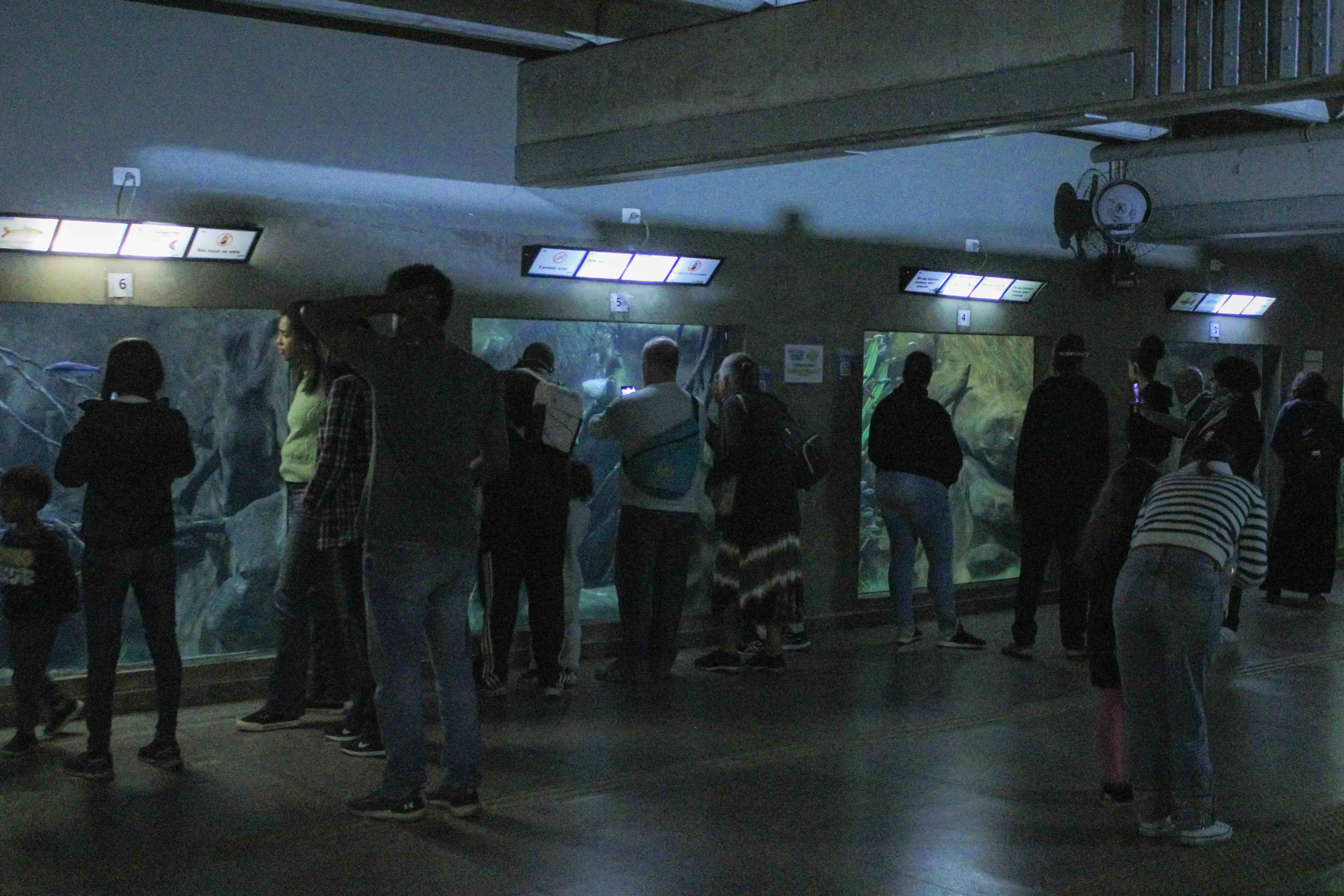 Visita Noturna ao Aquário