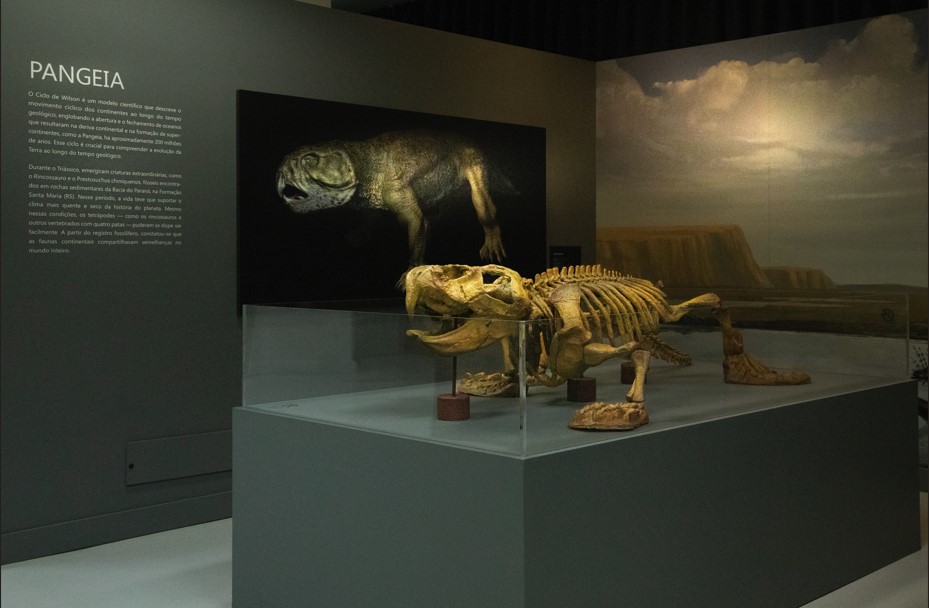 Visita mediada à exposição “demasiado humano” 