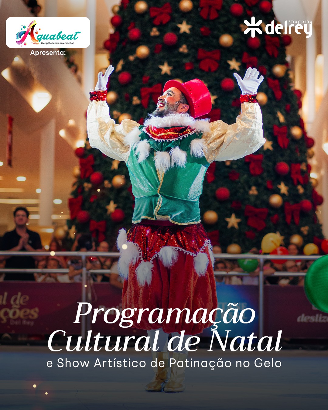 fly com informações