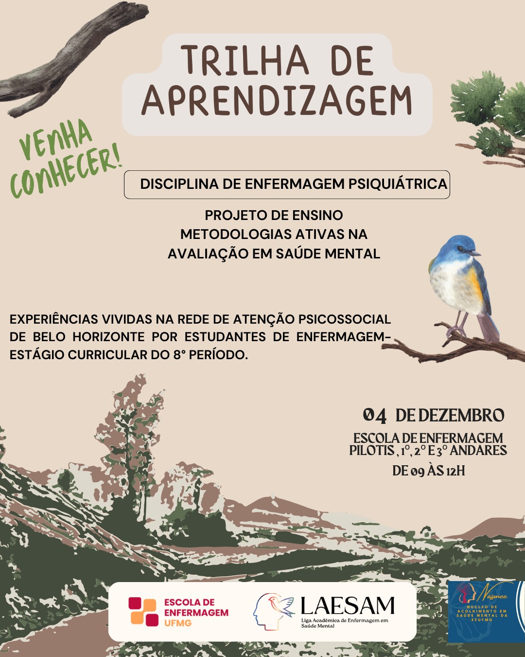 fly com informações