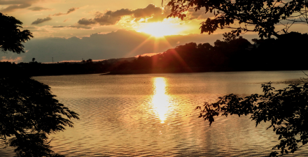 Oficina sensorial: Texturas do jardim