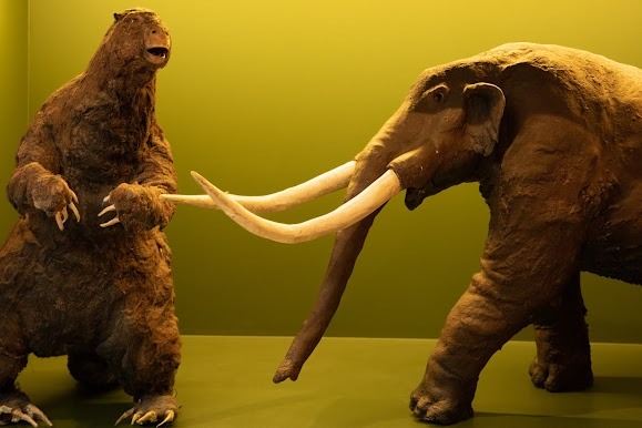 14 e 18.01 Oficina “Costurando a Megafauna” 