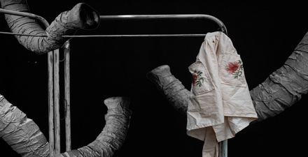 Imagem de uma tromba de elefante em tela preta 