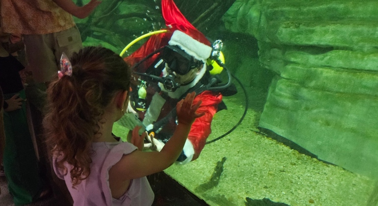 Mergulho do Papai Noel no Aquário da Bacia do Rio São Francisco