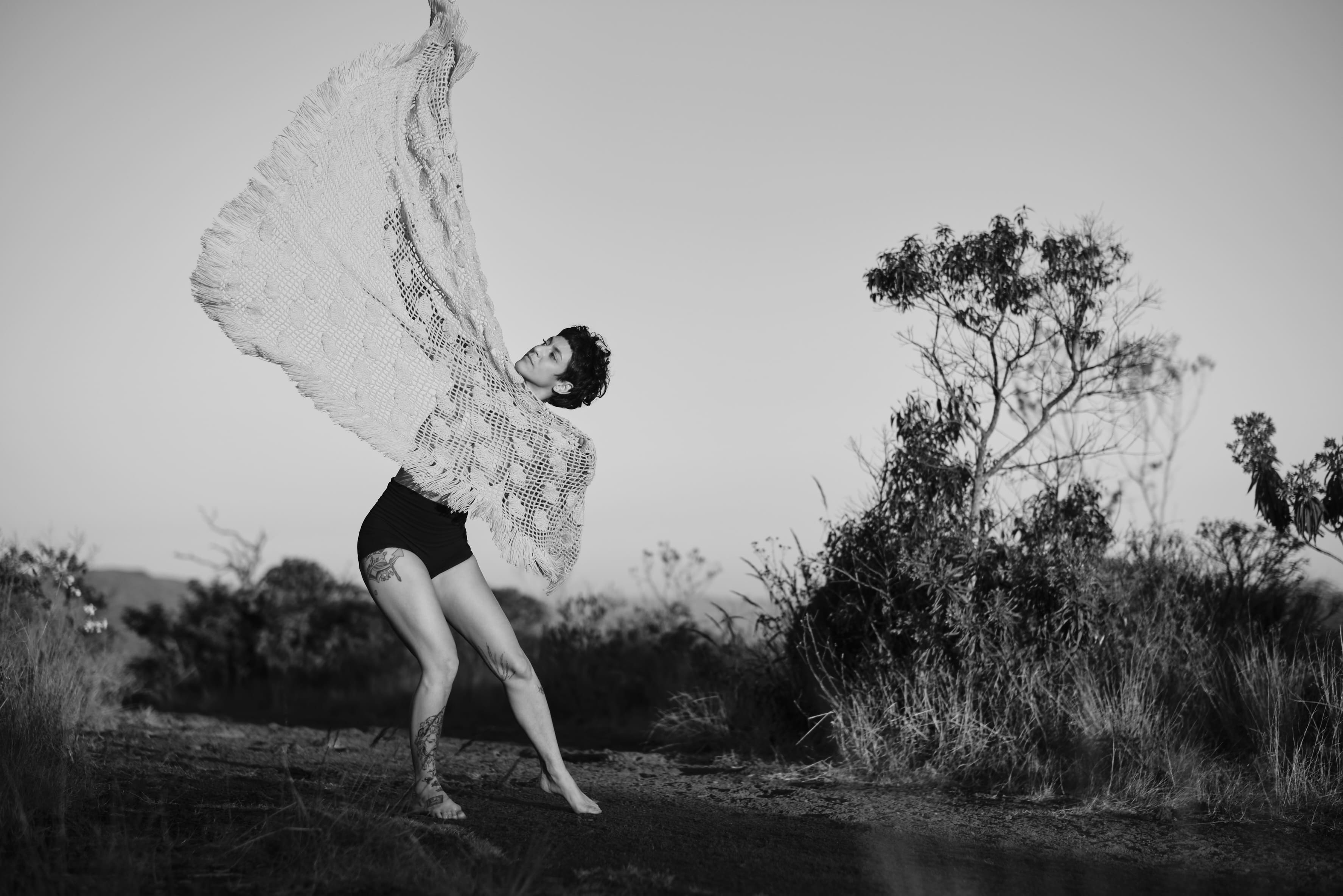 Ensaio de divulgação