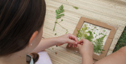 bribcadeiras no jardim