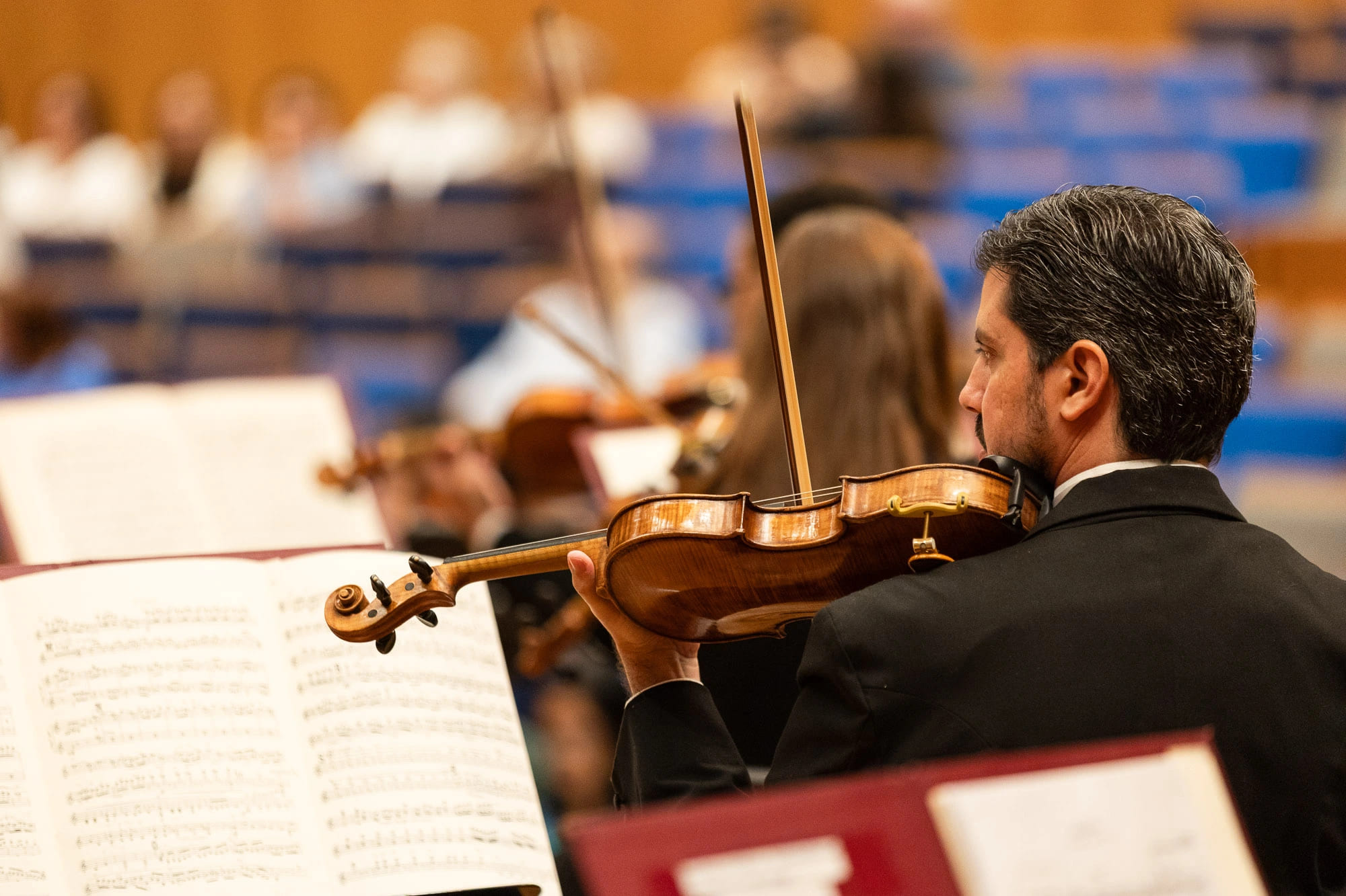 Foto de violinista tocando