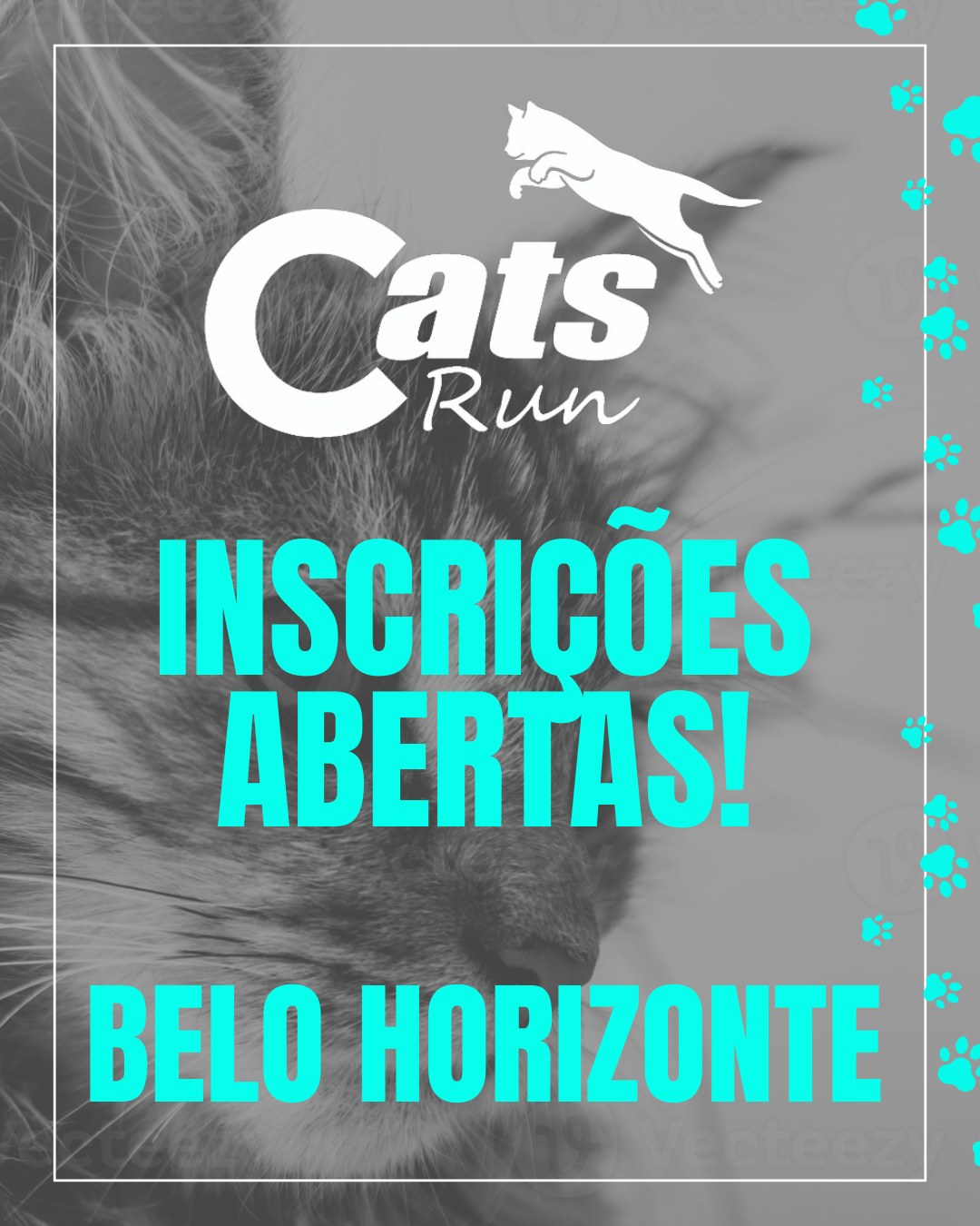 Flyer convidativo para realização da inscrição da corrida cat run 