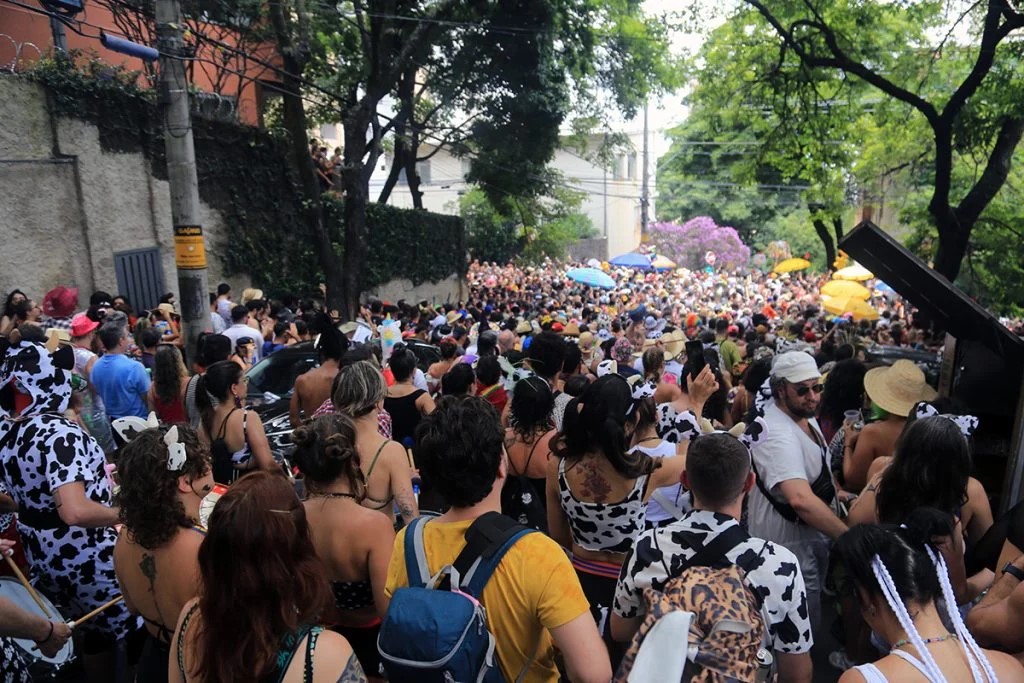 Pré-Carnaval 2026: Bloco Mama na Vaca