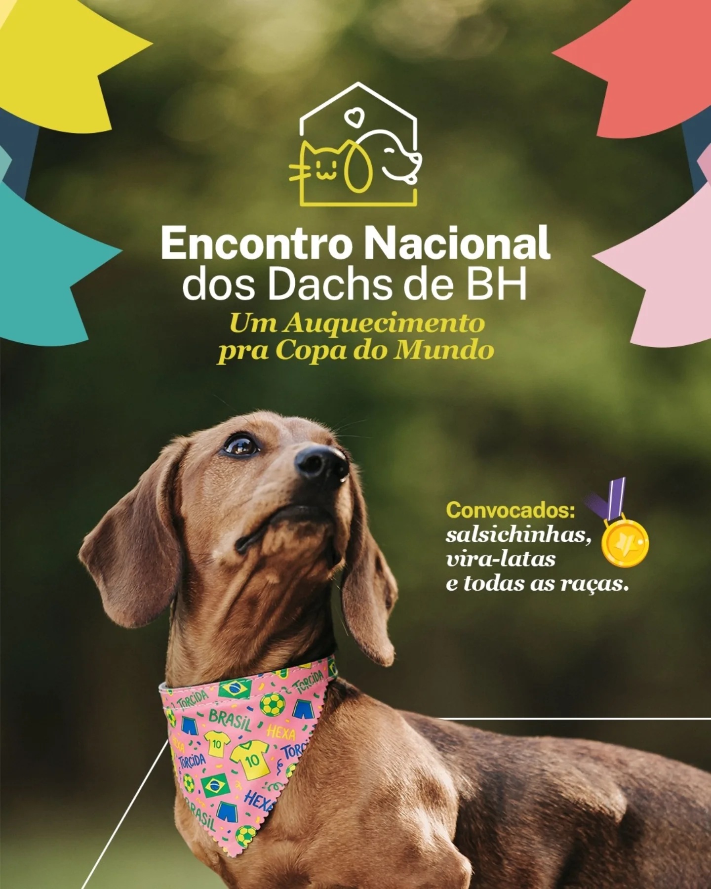 Encontro de Dachshunds e Arena CrossDog