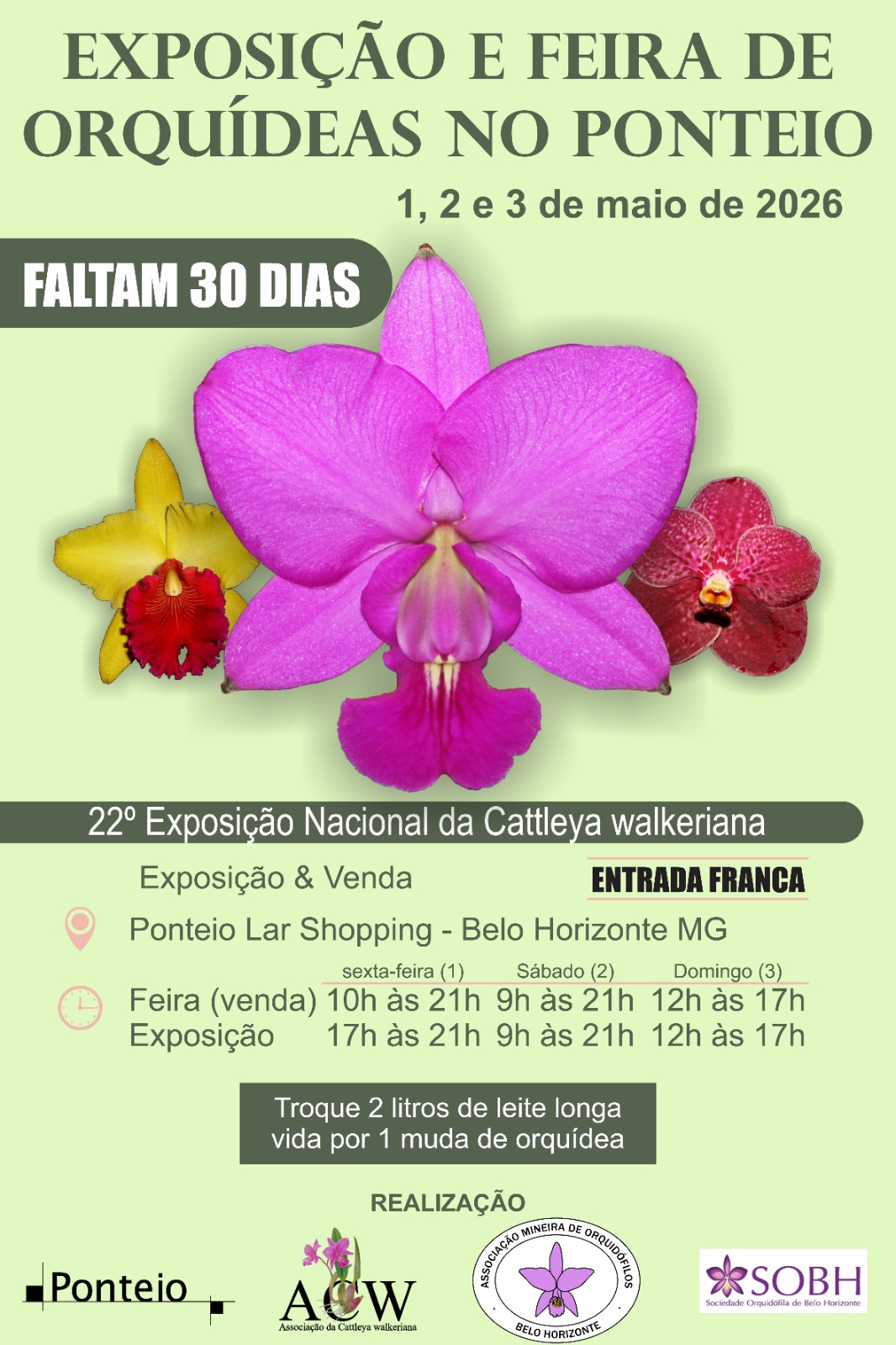 Exposição e Feira de Orquídea
