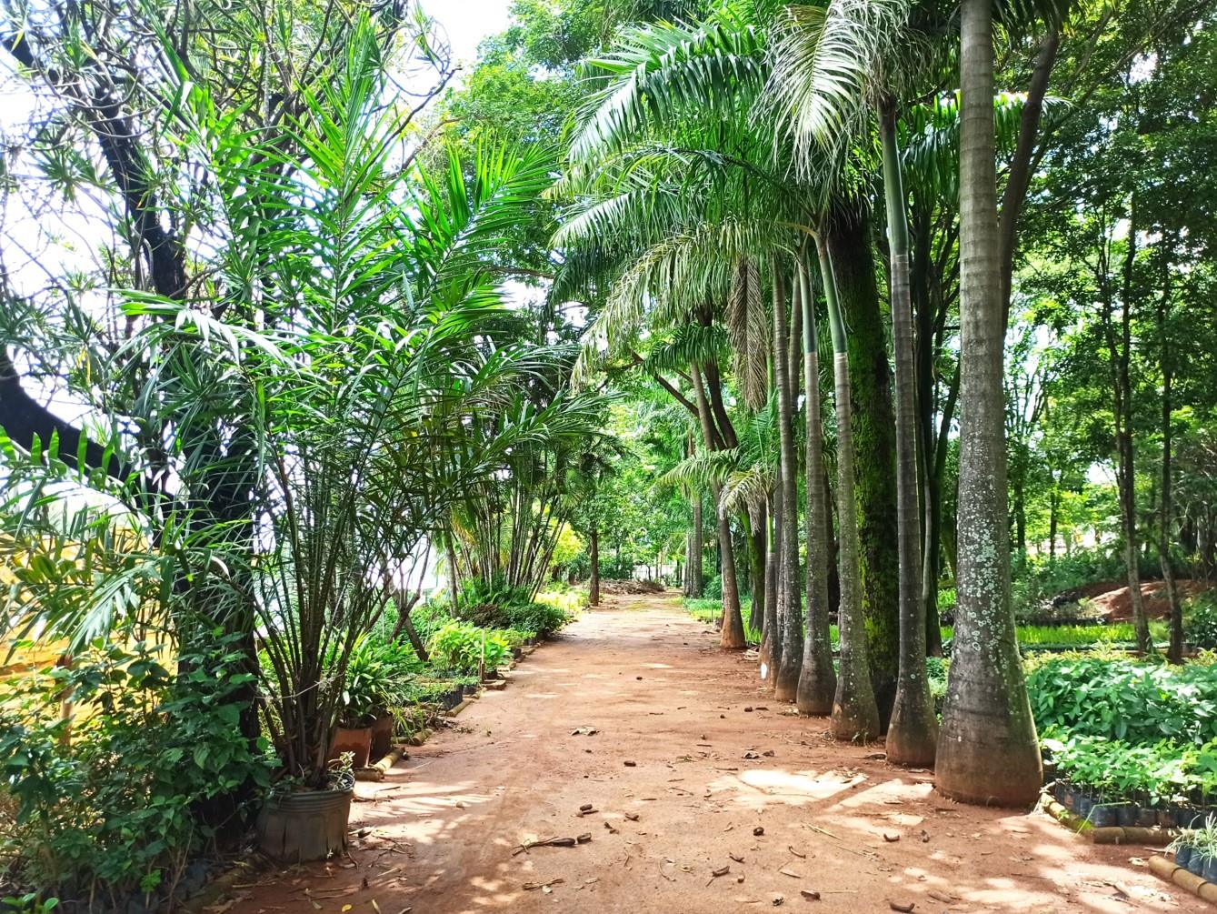 Parque Jacques Cousteau 