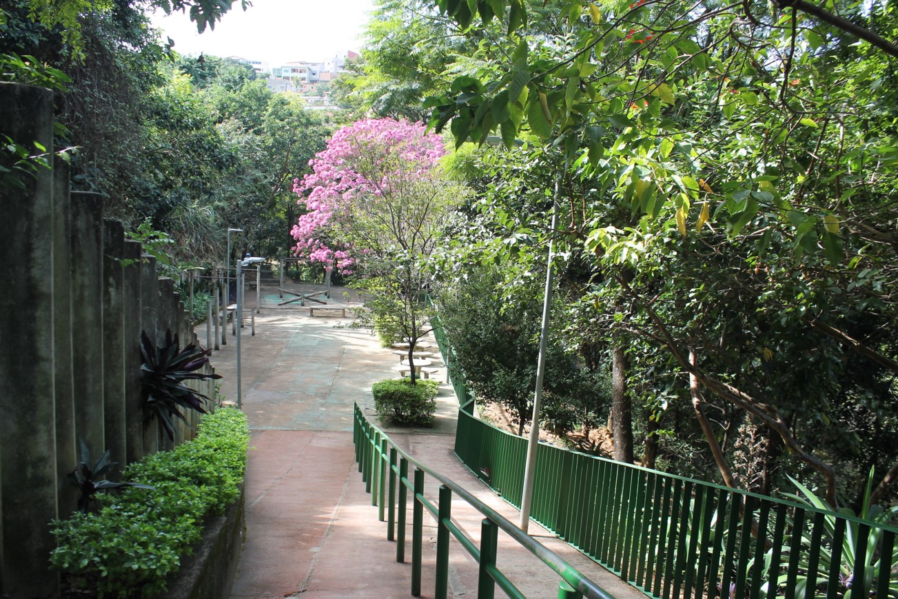 Parque José Lopes dos Reis