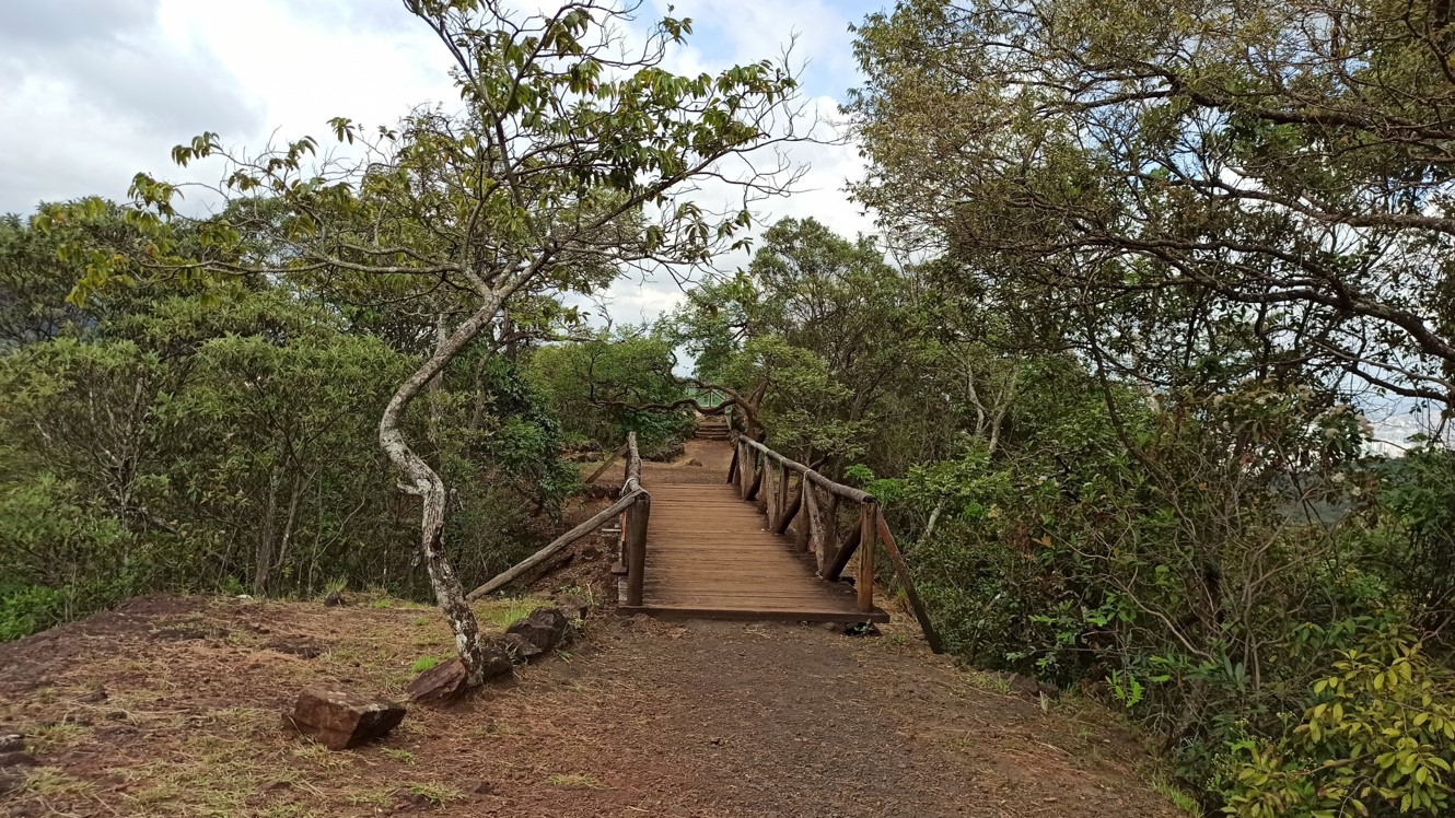 Parque das Mangabeiras - Maurício Campos