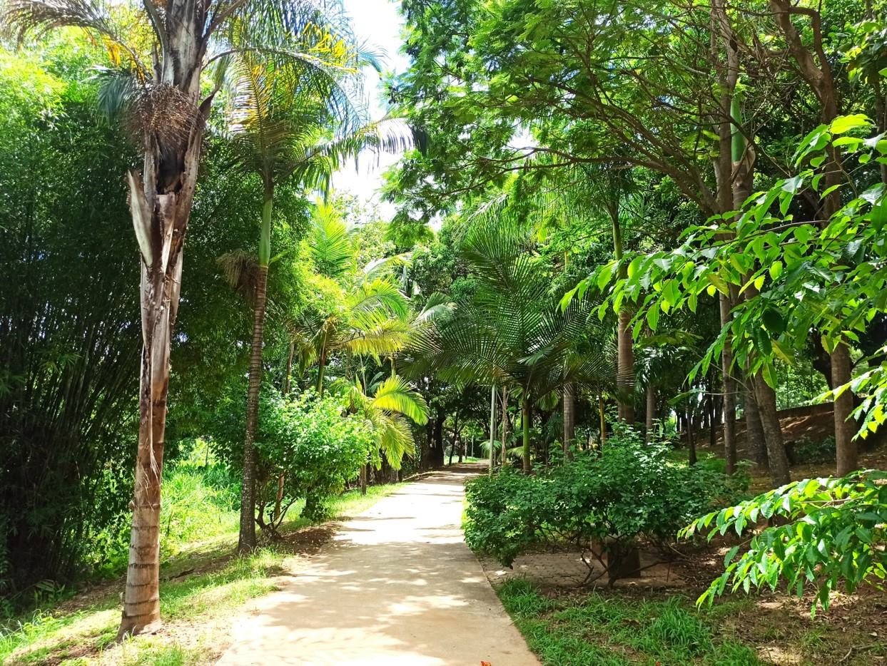 Parque Nossa Senhora da Piedade 