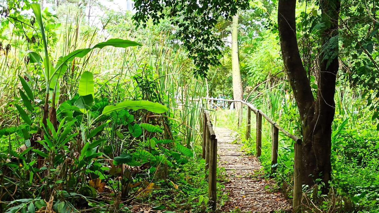 Parque Ecológico do Brejinho 