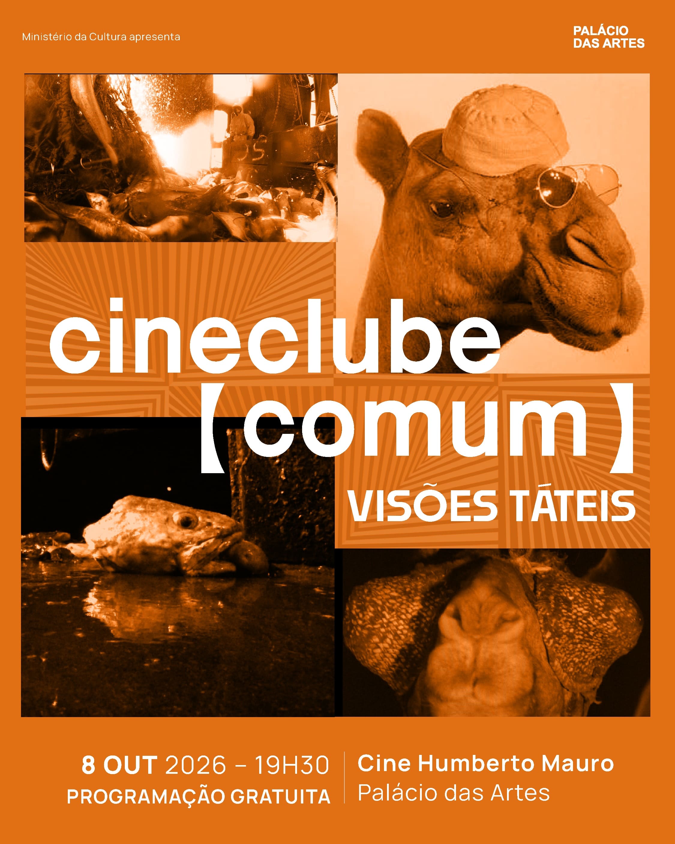 Foto de capa para divulgação do evento CineClube Comum no Palácio das Artes 