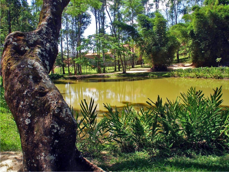 Parque-Escola Jardim Belmonte 