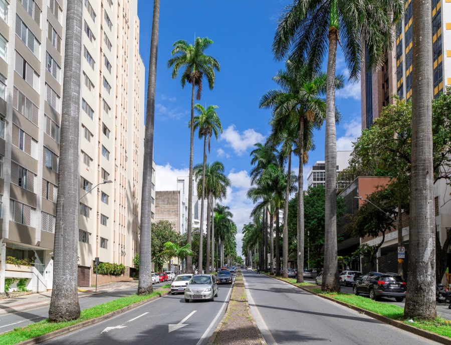 Pablo Gomide/Quarteto Filmes Uma avenida larga e elegante, com um canteiro central estreito, repleto de palmeiras imperiais muito altas, alinhadas em duas fileiras que se estendem até o horizonte. Dos dois lados da rua, há prédios altos residenciais e comerciais, alguns de fachada clara e outros mais modernos. Carros circulam nas duas pistas e outros estão estacionados ao longo das calçadas. O céu azul com algumas nuvens brancas dá ar ensolarado e vibrante à cena.