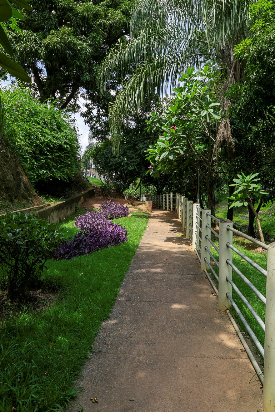 Caminho de cimento liso ladeado por grades metálicas brancas à direita. À esquerda, gramado verde com arbustos e canteiro de plantas roxas. Árvores altas, incluindo palmeiras e arbustos floridos, sombreiam parte da trilha.