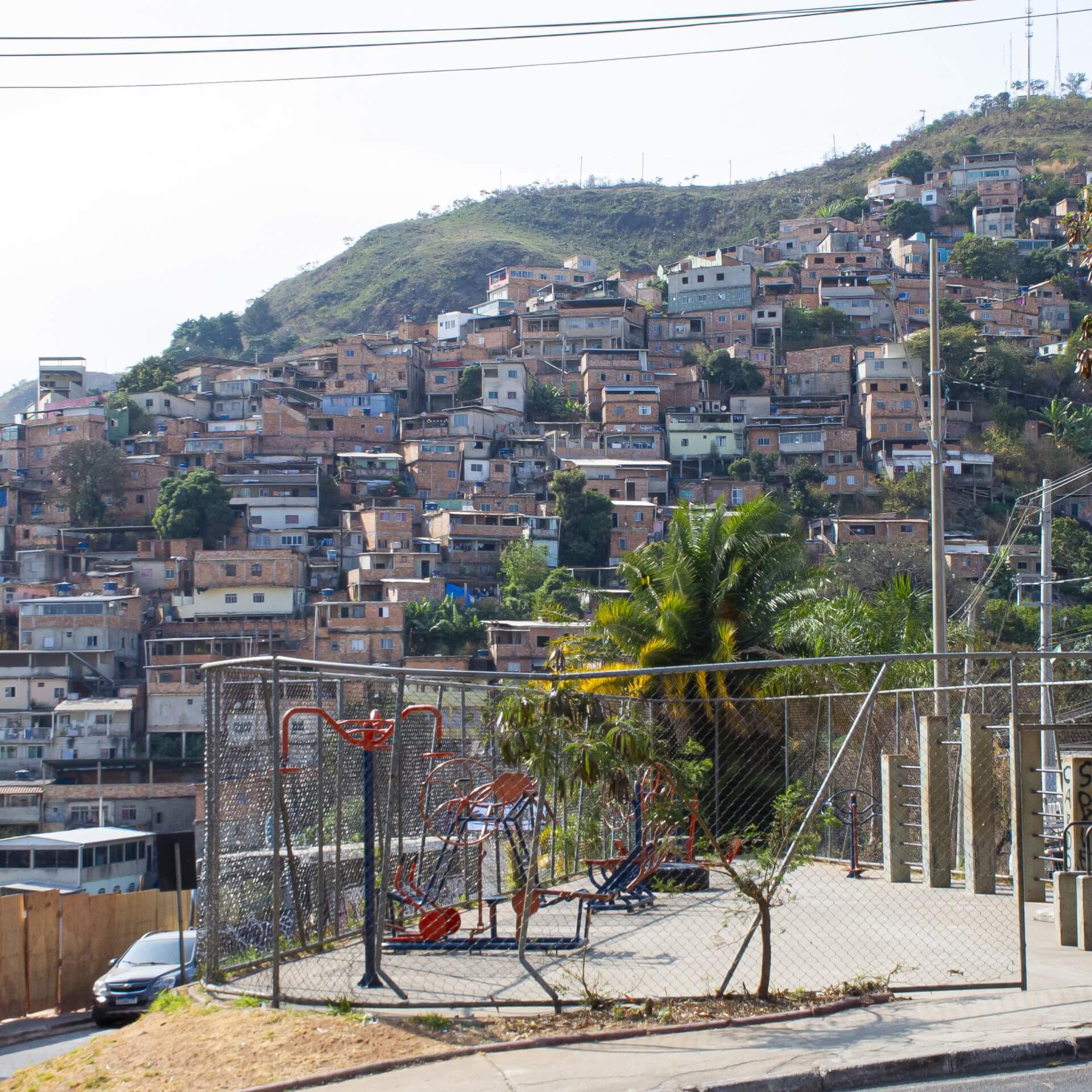 Raízes e Resiliência: A Vida na Favela