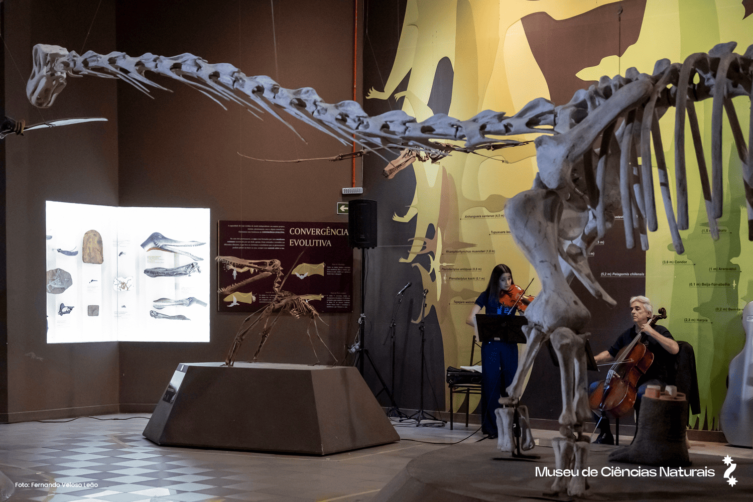 Museu de Ciências Naturais - Foto: Fernando Veloso Leão 
