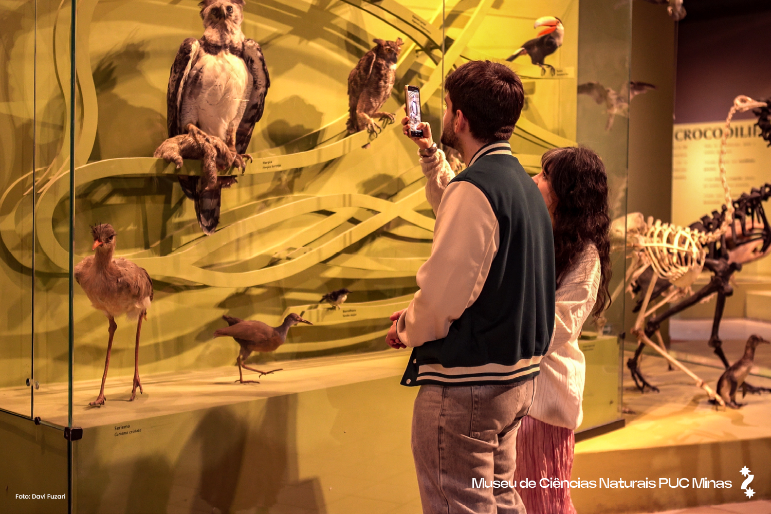 Museu de Ciências Naturais PUC Minas