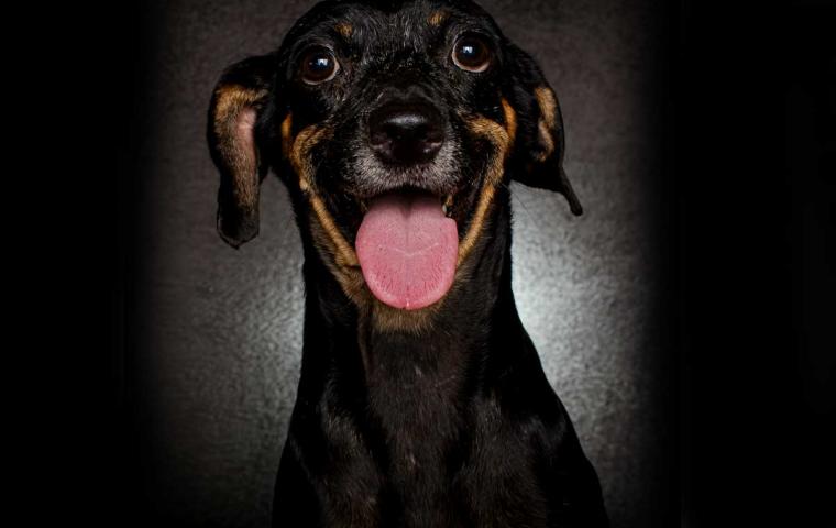 Lar de Luísa Divulgação