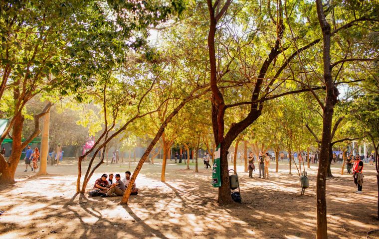 Pessoas em um parque