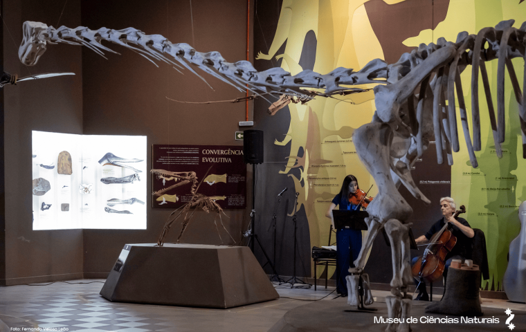 Museu de Ciências Naturais - Foto: Fernando Veloso Leão 