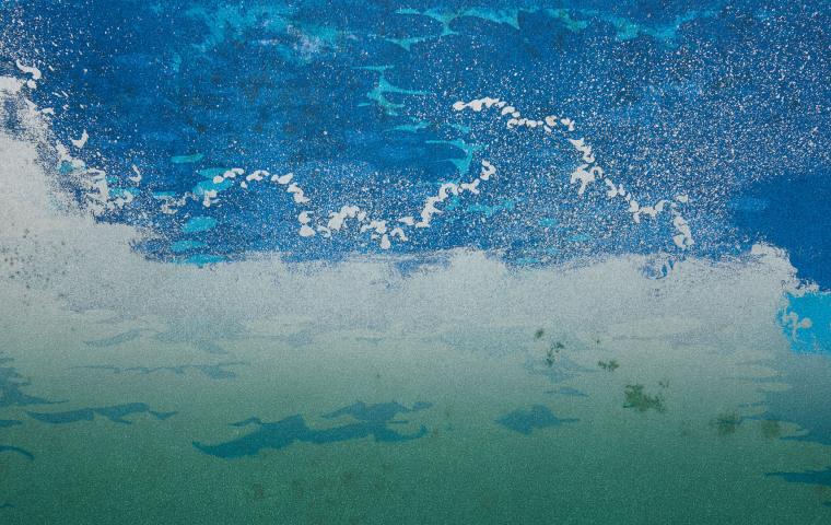 Litografia sobre papel, 1980 - 59,5 x 39,9 cm