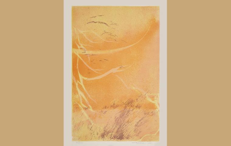 Litografia sobre papel, 1989 - 39,5 x 60 cm