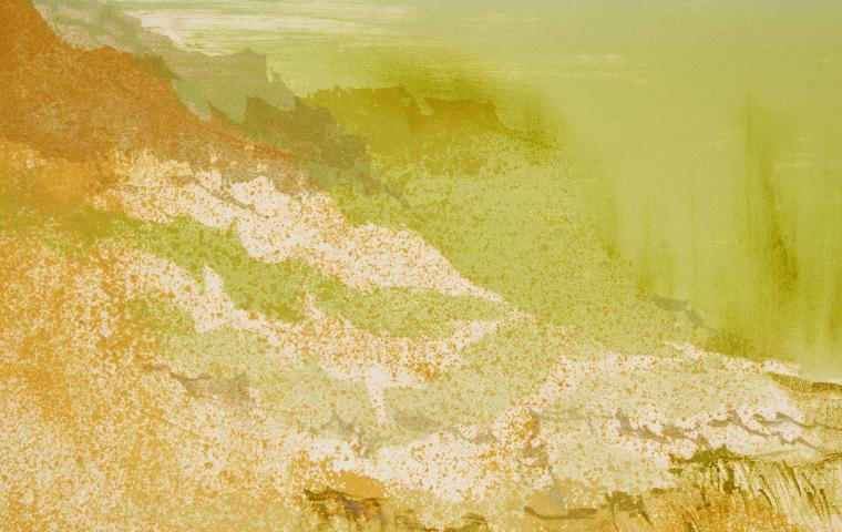 Litografia sobre papel, 1980 - 59,8 x 39,7 cm