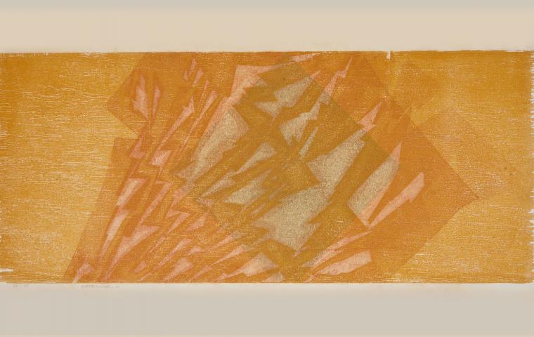 Xilogravura sobre papel, 1970 - 86,5 x 46