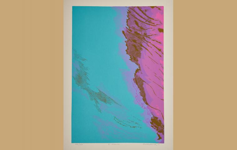 Serigrafia, 1974 - 36,5 x 51 cm.