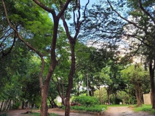Parque Municipal Coqueiros 
