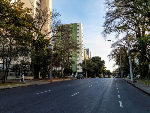Uma avenida com pouca movimentação, ladeada por árvores de grande porte e prédios altos. A via está vazia e se estende em direção ao horizonte. À esquerda, há um pedestre caminhando na calçada, e um carro está estacionado mais adiante. A luz do sol da tarde ilumina a cena de forma vibrante.