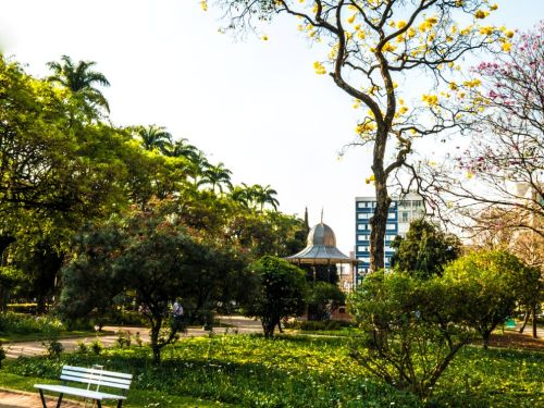 Banco branco junto a calçada curvada; canteiro gramado com cobertura baixa de flores amarelas à frente. Árvore alta com flores amarelas (ipê) à direita; arbustos e caminhos pavimentados ao fundo. No centro, quiosque metálico com cúpula e degraus; prédio alto visível atrás.