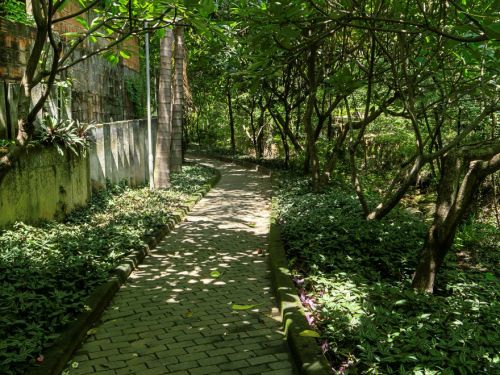 Caminho pavimentado com blocos de pedra cinza, ladeado por canteiros com plantas rasteiras verdes. Árvores de copa baixa formam sombra sobre o trajeto. Algumas pétalas caídas estão espalhadas no chão.