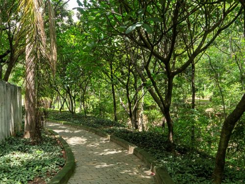 Caminho pavimentado com blocos de concreto, ladeado por muretas baixas de grama e árvores de copa densa, formando sombra sobre a trilha. À esquerda há muro de concreto e plantas rasteiras; à direita, vegetação fechada.