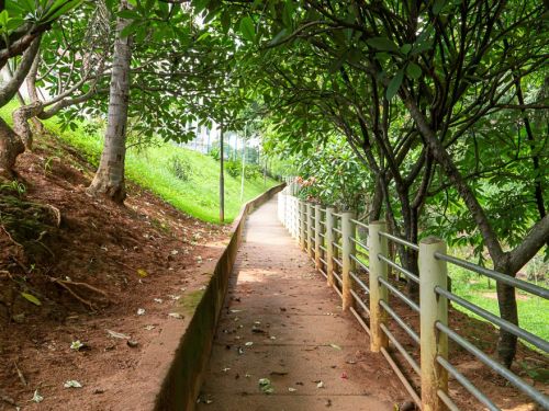 Caminho estreito de cimento, com grades metálicas brancas à direita e barranco de terra à esquerda. Árvores de copa baixa cobrem a trilha, criando sombra. O chão tem folhas e flores caídas.