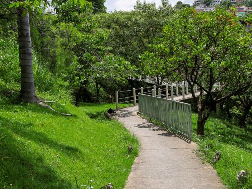 Trilha de cimento em descida, ladeada por gramado verde e árvores de médio porte. No final do caminho há uma ponte com corrimão verde. Ao fundo, no horizonte, surgem casas e um prédio alto.