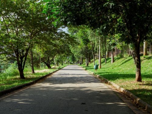 Um caminho de asfalto em um parque, que se estende em linha reta e é ladeado por árvores com folhagem densa. As árvores criam um túnel verde com um efeito de luz e sombra no chão. A paisagem é de grama verde bem cuidada. No lado esquerdo, é possível ver um lago por entre as árvores.