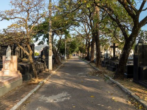 Um caminho pavimentado em um cemitério, estendendo-se para o fundo. O caminho é ladeado por árvores com troncos escuros e folhagem verde, formando um corredor natural. Há folhas secas espalhadas pelo chão. Em ambos os lados do caminho, há fileiras de túmulos de pedra e mármore, com lápides e cruzes de vários tamanhos e formas.