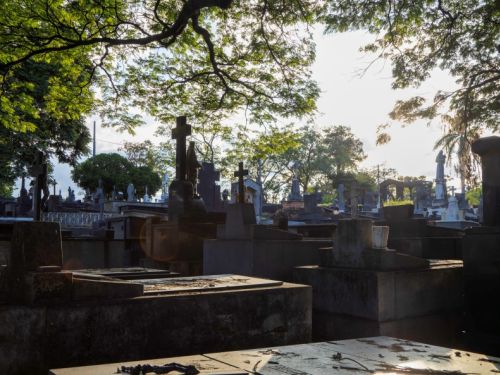 Um cemitério sob uma luz de fim de tarde, com o sol baixo no horizonte. O primeiro plano é dominado por túmulos de granito escuro, alguns dos quais parecem antigos e desgastados, cobertos por musgo ou sujeira. No plano intermediário, há uma sucessão de lápides e cruzes, algumas delas com detalhes ornamentais ou pequenas estátuas. Ao fundo, mais túmulos e árvores com folhagens densas podem ser vistos, e a luz do sol, brilhante e quase ofuscante, atravessa as copas das árvores.