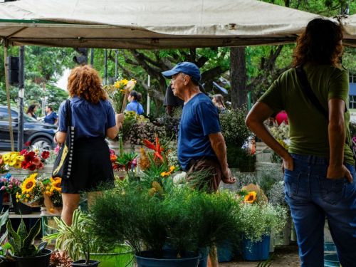 Movimento de pessoas em uma feira de flores e plantas. No primeiro plano, um homem de boné azul e camiseta azul, de perfil, observa as flores. Ao seu redor, há baldes e vasos cheios de flores coloridas, como girassóis, gérberas e folhagens. À direita, um homem com cabelo comprido e camiseta verde, de costas para a câmera, está com as mãos nos bolsos da calça jeans. À esquerda, uma mulher de blusa azul e cabelos ruivos cacheados também observa as flores. As barracas têm lonas brancas.