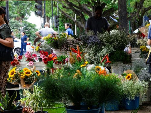 Uma feira de flores cheia de movimento, com pessoas e bancas repletas de arranjos florais. No primeiro plano e no centro, uma grande variedade de flores está disposta em baldes e vasos, incluindo girassóis, gérberas vermelhas e folhagens variadas. Um homem sorrindo com uma camiseta cinza está atrás de uma banca, arrumando as flores. No fundo, outras pessoas, árvores e o trânsito da cidade são visíveis.